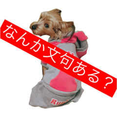 [LINEスタンプ] 親バカヨーキースタンプ