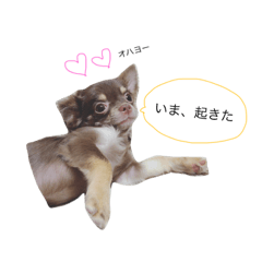 [LINEスタンプ] ちゃーみんぐたろー③