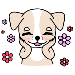 [LINEスタンプ] wow~chihuahua