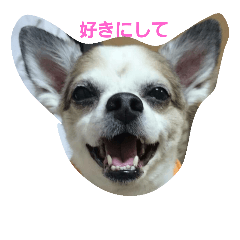 [LINEスタンプ] りゅうらぶ！