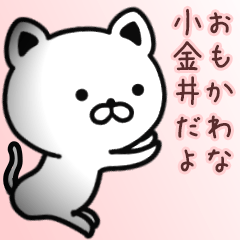 [LINEスタンプ] 小金井さん専用面白可愛い名前スタンプ