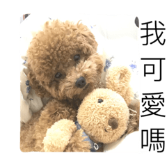 [LINEスタンプ] two puppies