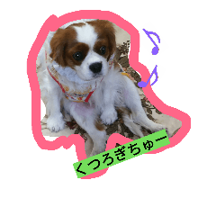 [LINEスタンプ] cocotsumu