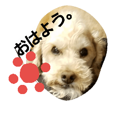 [LINEスタンプ] デカプードル日常会話