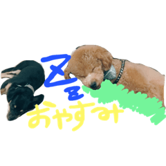 [LINEスタンプ] とむともか