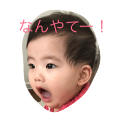 [LINEスタンプ] ぽっくる