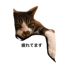 [LINEスタンプ] 我が家の犬と猫のつぶやき