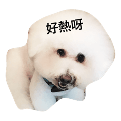 [LINEスタンプ] bad dog A little cute