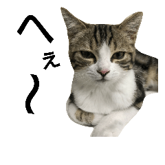 [LINEスタンプ] ふふふ家族