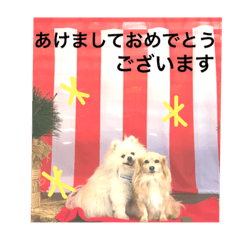 [LINEスタンプ] chibi＆dog