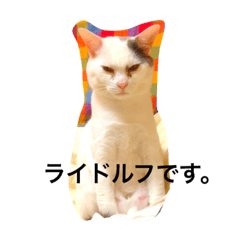 [LINEスタンプ] ライドルフ