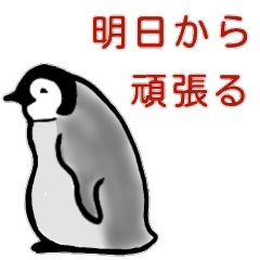 [LINEスタンプ] 可愛い動物たち 3