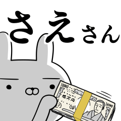 [LINEスタンプ] さえ☆サエさんの為の使えるスタンプの画像（メイン）