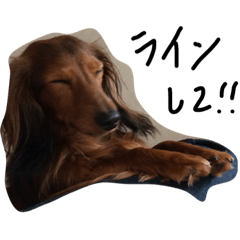 [LINEスタンプ] ダックスフンドのラブ君