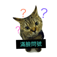 [LINEスタンプ] You are a fat cat