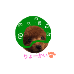 [LINEスタンプ] トイプードル エマ♡