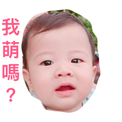 [LINEスタンプ] littlebaby life