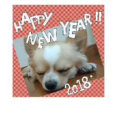 [LINEスタンプ] new year stamp 2018