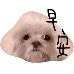 [LINEスタンプ] Garbage Dog