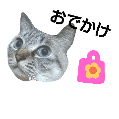 [LINEスタンプ] 猫のみーくん2