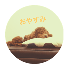 [LINEスタンプ] ちゃびとりの