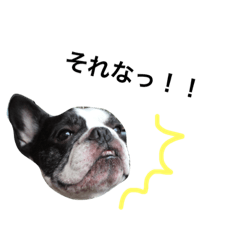 [LINEスタンプ] ちまき姫