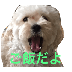 [LINEスタンプ] 船長さんコロ