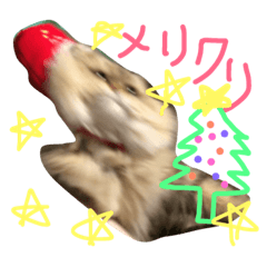 [LINEスタンプ] まろんの日常