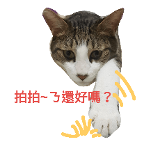 [LINEスタンプ] My pet QQ＆momo