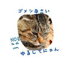 [LINEスタンプ] 使えるにゃんと仲間たち