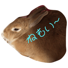 [LINEスタンプ] ナインマイルズ ペット