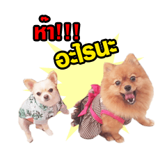 [LINEスタンプ] Gus＆Gar Candy dogs