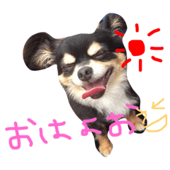 [LINEスタンプ] シャビくんスタンプ①