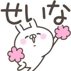 [LINEスタンプ] ☆★せいな★☆ベーシックパック