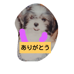 [LINEスタンプ] 犬のなすびとチェリー