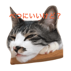 [LINEスタンプ] CAT Kuru stamp 2