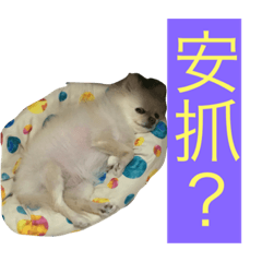 [LINEスタンプ] Rody Dog