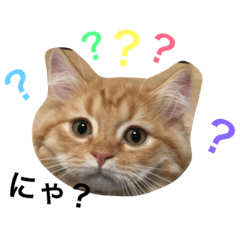 [LINEスタンプ] スティル フラン 第2弾