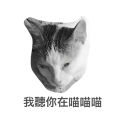 [LINEスタンプ] Cat's emoji