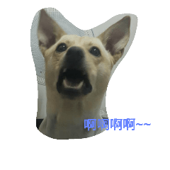 [LINEスタンプ] This is a dog .