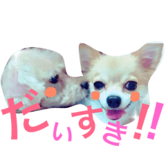 [LINEスタンプ] 私の愛犬