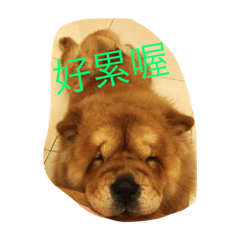 [LINEスタンプ] BABY BEAR dog