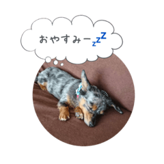 [LINEスタンプ] うちゃんの日常