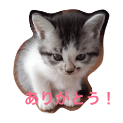 [LINEスタンプ] メイちゃん！