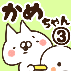 [LINEスタンプ] 【かめちゃん】専用3