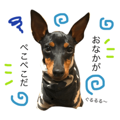 [LINEスタンプ] トイマン☆もぐ