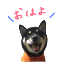 [LINEスタンプ] ごまいぬの画像（メイン）