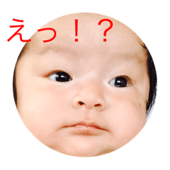 [LINEスタンプ] 来知くん