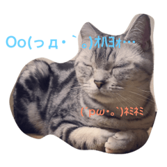 [LINEスタンプ] 夢夢ちゃんの日常