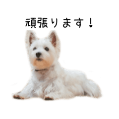 [LINEスタンプ] daihuku sticker2の画像（メイン）